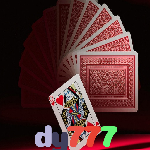 dy777